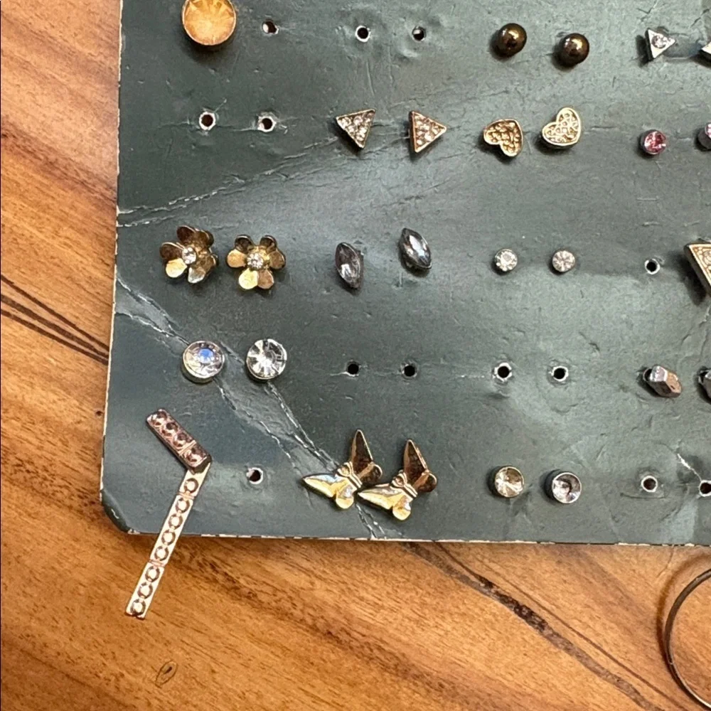 wild fable diverse earring
